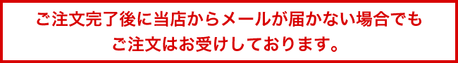 ご注文完了後に当店からのメールが届かない場合でもご注文はお受けしております。